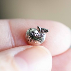 Special Teacher Apple